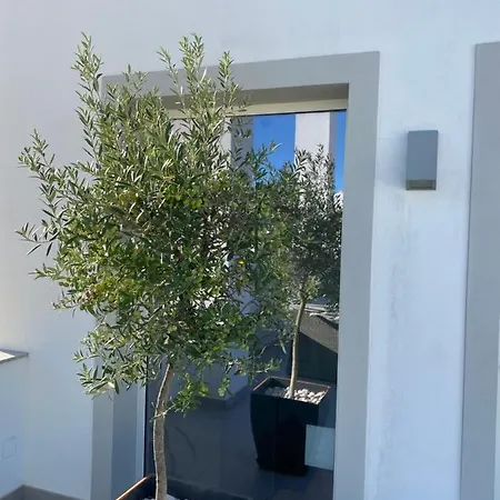 بيت ضيافة Slow House D'arco ساو برأس دي البورتيل